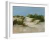 Summer Dunes II-Ethan Harper-Framed Art Print