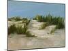 Summer Dunes II-Ethan Harper-Mounted Art Print