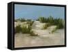 Summer Dunes II-Ethan Harper-Framed Stretched Canvas