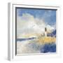 Summer Dunes-Ken Hurd-Framed Giclee Print