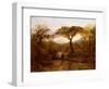 Summer Evening, 1853-John Linnell-Framed Giclee Print