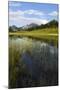 Summer Evening at Arosa-Armin Mathis-Mounted Photographic Print