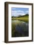 Summer Evening at Arosa-Armin Mathis-Framed Photographic Print