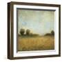 Summer Evening I-Wani Pasion-Framed Giclee Print