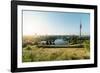 Summer Evening in the Olympic Park, Munich, Bavaria, Germany-Steve Simon-Framed Photographic Print