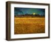 Summer Evening Near Arles-Vincent van Gogh-Framed Giclee Print