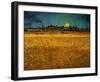 Summer Evening Near Arles-Vincent van Gogh-Framed Giclee Print