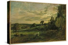 Summer Evening Near East Bergholt, Suffolk-John Constable-Stretched Canvas