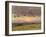 Summer Evening with Storm Clouds-John Constable-Framed Giclee Print