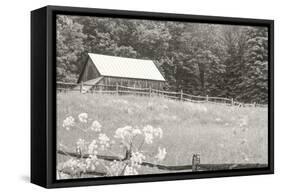Summer Farm I BW-Sue Schlabach-Framed Stretched Canvas
