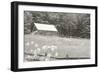 Summer Farm I BW-Sue Schlabach-Framed Premium Giclee Print