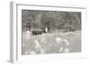 Summer Farm II BW-Sue Schlabach-Framed Art Print