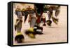 Summer Feast Day Celebration. Ohkay Owingeh Pueblo, New Mexico-Julien McRoberts-Framed Stretched Canvas