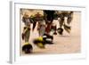 Summer Feast Day Celebration. Ohkay Owingeh Pueblo, New Mexico-Julien McRoberts-Framed Photographic Print