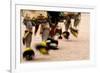 Summer Feast Day Celebration. Ohkay Owingeh Pueblo, New Mexico-Julien McRoberts-Framed Photographic Print