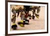 Summer Feast Day Celebration. Ohkay Owingeh Pueblo, New Mexico-Julien McRoberts-Framed Photographic Print