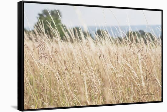 Summer Field I-Elizabeth Urquhart-Framed Stretched Canvas