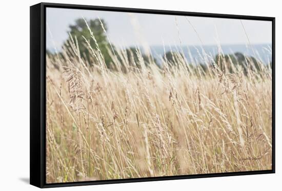 Summer Field I-Elizabeth Urquhart-Framed Stretched Canvas