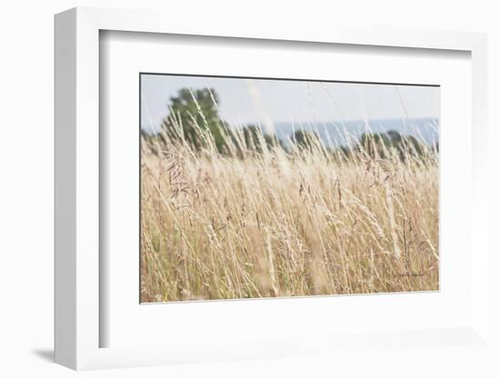 Summer Field I-Elizabeth Urquhart-Framed Photographic Print