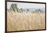 Summer Field I-Elizabeth Urquhart-Framed Photographic Print