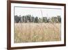 Summer Field II-Elizabeth Urquhart-Framed Photographic Print