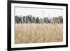 Summer Field II-Elizabeth Urquhart-Framed Photographic Print