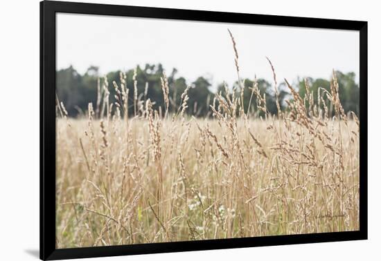 Summer Field II-Elizabeth Urquhart-Framed Photographic Print