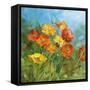 Summer Field IV-Danhui Nai-Framed Stretched Canvas