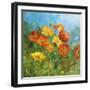 Summer Field IV-Danhui Nai-Framed Art Print