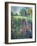 Summer Field-Claire Spencer-Framed Giclee Print