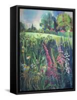 Summer Field-Claire Spencer-Framed Stretched Canvas
