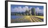 Summer Fields II-David Short-Framed Giclee Print