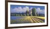 Summer Fields II-David Short-Framed Giclee Print