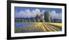 Summer Fields II-David Short-Framed Giclee Print