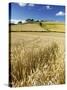 Summer Fields, Thorverton, Devon, England, United Kingdom, Europe-Jeremy Lightfoot-Stretched Canvas