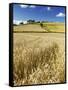 Summer Fields, Thorverton, Devon, England, United Kingdom, Europe-Jeremy Lightfoot-Framed Stretched Canvas