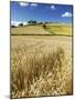 Summer Fields, Thorverton, Devon, England, United Kingdom, Europe-Jeremy Lightfoot-Mounted Photographic Print