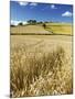 Summer Fields, Thorverton, Devon, England, United Kingdom, Europe-Jeremy Lightfoot-Mounted Photographic Print