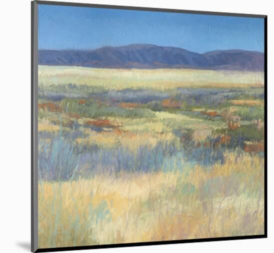 Summer Fields with Mountains-Jeannie Sellmer-Mounted Art Print