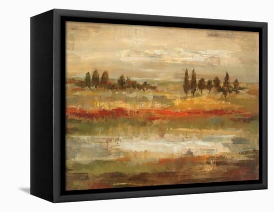 Summer Fields-Silvia Vassileva-Framed Stretched Canvas