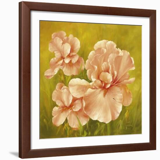 Summer Flair I-Fasani-Framed Art Print