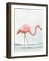 Summer Flamingo I-Lily K-Framed Art Print