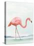 Summer Flamingo I-Lily K-Stretched Canvas