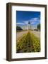 Summer flower-bed leading to South Dakota State Capitol and complex, Pierre, South Dakota, was b...-null-Framed Photographic Print