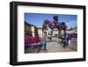 Summer Flower Display at Saltburn Station-Mark Sunderland-Framed Photographic Print