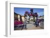 Summer Flower Display at Saltburn Station-Mark Sunderland-Framed Photographic Print