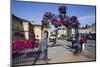 Summer Flower Display at Saltburn Station-Mark Sunderland-Mounted Photographic Print