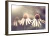 Summer Flower under Rain-Alexey Rumyantsev-Framed Photographic Print