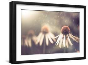 Summer Flower under Rain-Alexey Rumyantsev-Framed Photographic Print