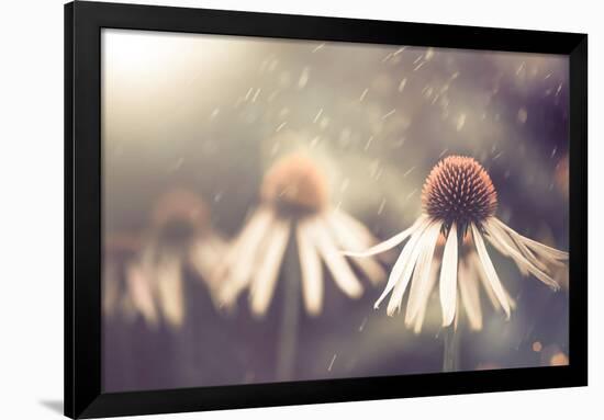 Summer Flower under Rain-Alexey Rumyantsev-Framed Photographic Print